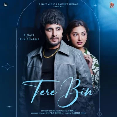 Tere Bin song cover