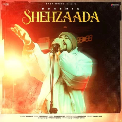 Shehzaada song cover