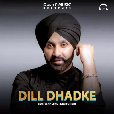 Dill Dhadke song cover